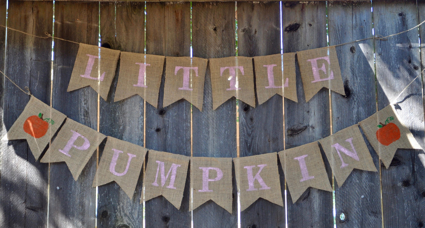 little pumpkin baby shower banner