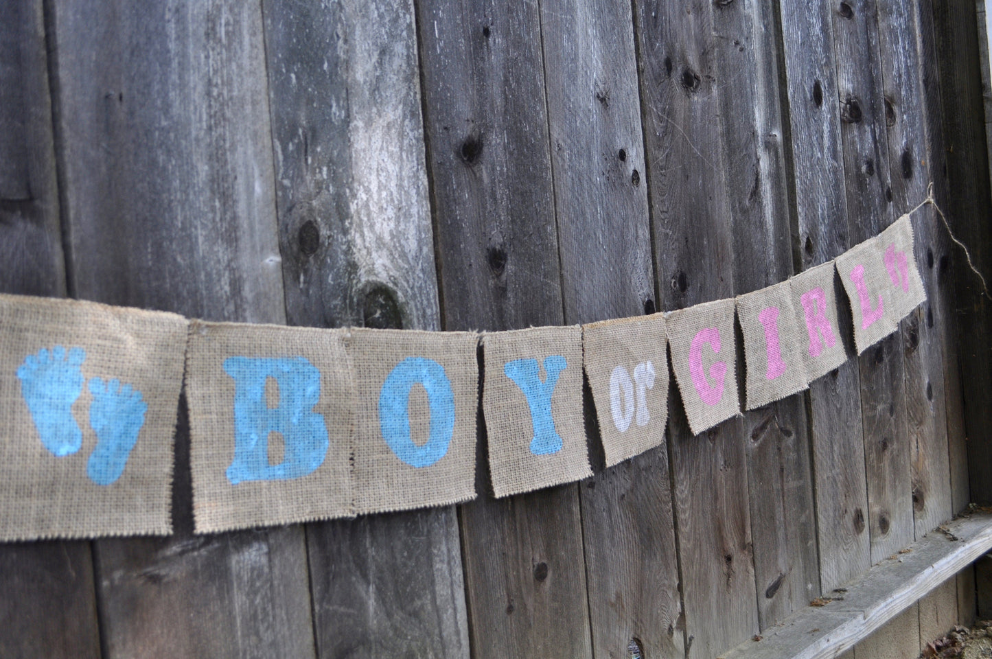 gender reveal decorations