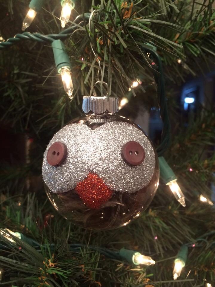 owl